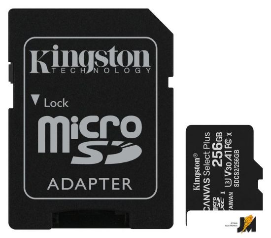 Изображение Карта памяти Canvas Select Plus microSDXC 256GB (с адаптером)