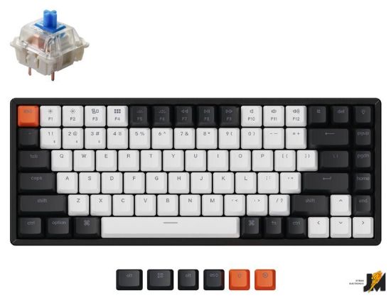https://cdn.dataimgstore.com/s/3130026/76/8249693/mPbXasmxwb.jpeg