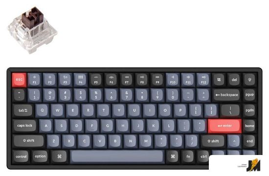 https://cdn.dataimgstore.com/s/3130026/76/9057259/mDJLV1xIhy.jpg