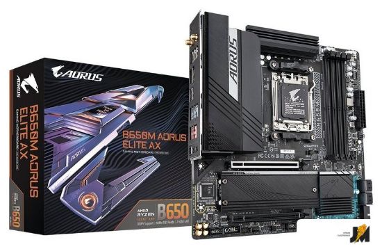 https://cdn.dataimgstore.com/s/3130026/91/8133685/ujrjkw3rAg.jpg
