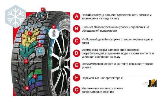 https://cdn.dataimgstore.com/s/3130026/295/6423462/wlb8GlE93w.jpeg