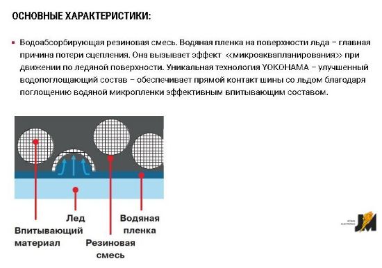 https://cdn.dataimgstore.com/s/3130026/295/9593994/KOP4j6GgYW.jpg