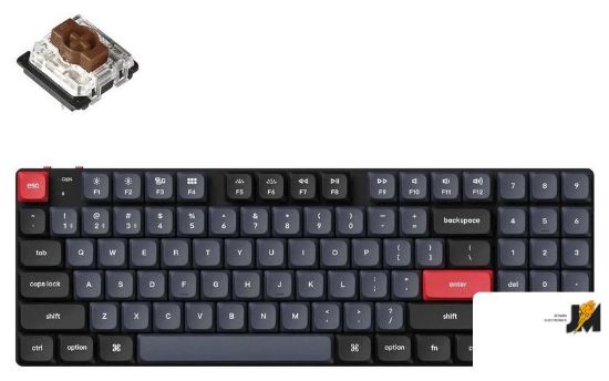 https://cdn.dataimgstore.com/s/3130026/76/9683797/XwraUB8R8O.jpg