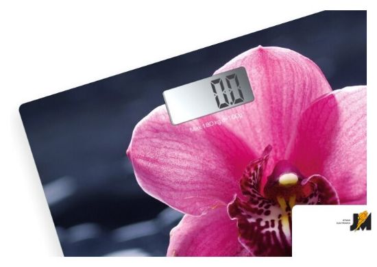 https://cdn.dataimgstore.com/s/3130026/205/1594551/fD4n4eWHmJ.jpeg