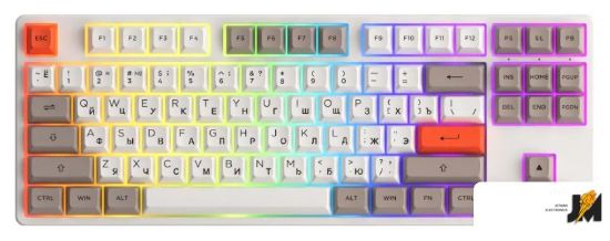 https://cdn.dataimgstore.com/s/3130026/76/8873057/gkfPaPmbSI.jpeg