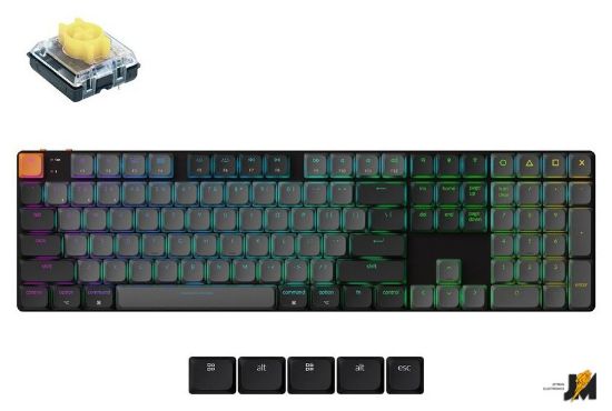 https://cdn.dataimgstore.com/s/3130026/76/10570415/GEiRCxFsgS.jpg