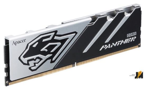 https://cdn.dataimgstore.com/s/3130026/94/10237963/pXq7xuThQT.jpg