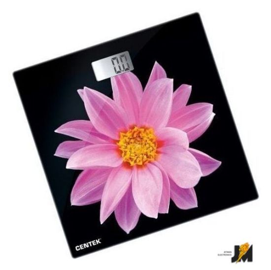 https://cdn.dataimgstore.com/s/3130026/205/2885996/jrKIxRIE9x.jpeg