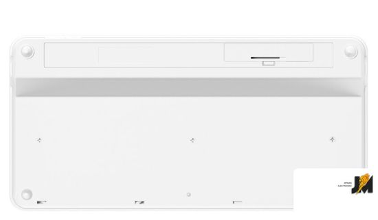 https://cdn.dataimgstore.com/s/3130026/76/8209204/RzmxgWLoe7.jpeg