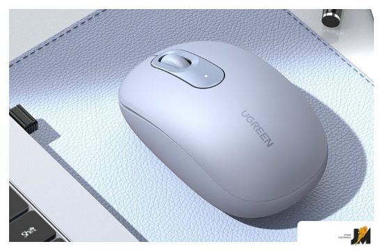 https://cdn.dataimgstore.com/s/3130026/73/9057272/QFAsnVS44m.jpg