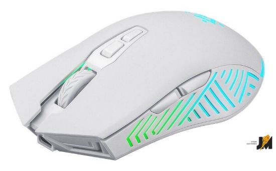 https://cdn.dataimgstore.com/s/3130026/73/9038381/tHespQaxeX.jpg