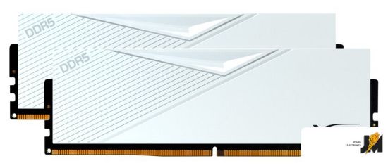 https://cdn.dataimgstore.com/s/3130026/94/8849074/YvHr2fInJ3.jpeg