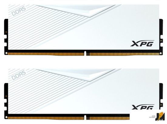 https://cdn.dataimgstore.com/s/3130026/94/9224362/PFnkWYSpdE.jpg