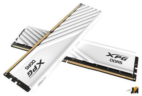 https://cdn.dataimgstore.com/s/3130026/94/9596518/hNq7Hd60WS.jpg
