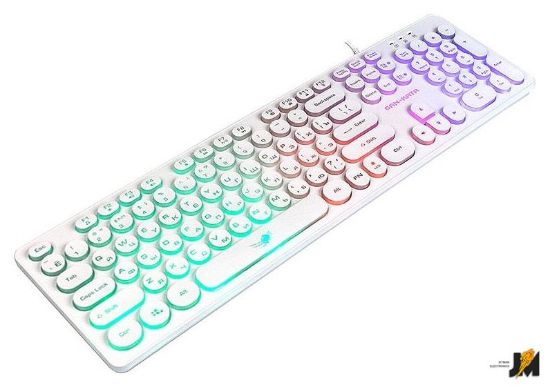 https://cdn.dataimgstore.com/s/3130026/76/5233814/HdlwbUNQA7.jpeg