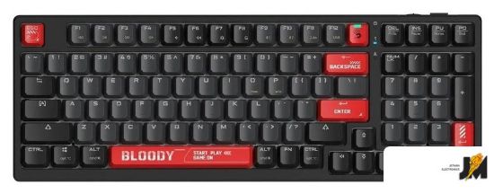 https://cdn.dataimgstore.com/s/3130026/76/10224251/jnKN9AcCiy.jpg