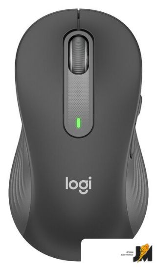 https://cdn.dataimgstore.com/s/3130026/73/6269018/GA8sX9kkXV.jpeg