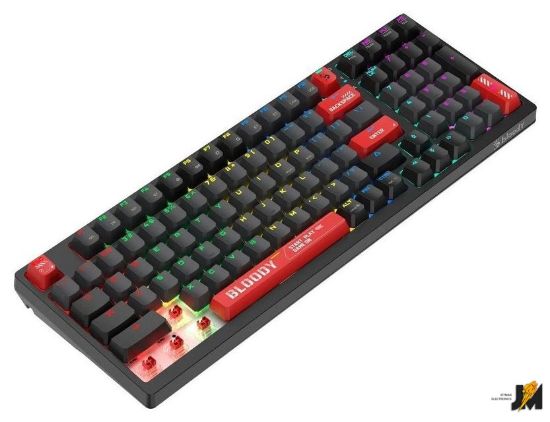 https://cdn.dataimgstore.com/s/3130026/76/10224251/eXyabVikY4.jpg