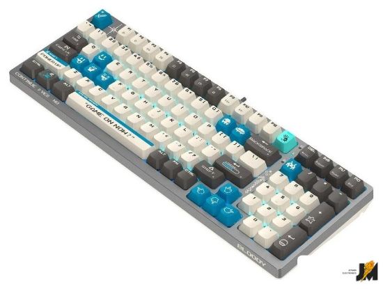 https://cdn.dataimgstore.com/s/3130026/76/10217042/AxlKOKB8Z8.jpg