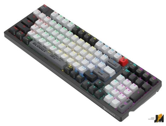 https://cdn.dataimgstore.com/s/3130026/76/10224250/TmaG2HxrZM.jpg