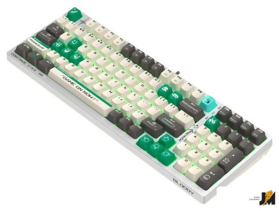 https://cdn.dataimgstore.com/s/3130026/76/10217043/v7xZ5pll67.jpg