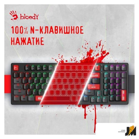 https://cdn.dataimgstore.com/s/3130026/76/9633566/Izwi5WGnWH.jpg