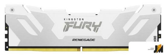 https://cdn.dataimgstore.com/s/3130026/94/9889203/GyCfHtHRYl.jpg