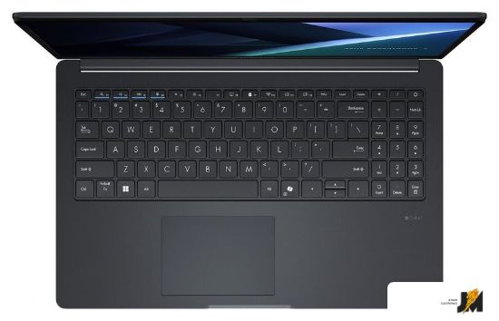 https://cdn.dataimgstore.com/s/3130026/64/10955539/MoiGd1FVEf.jpg