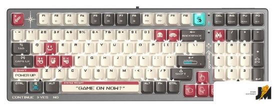 https://cdn.dataimgstore.com/s/3130026/76/10217041/QFd8K6s9xi.jpg