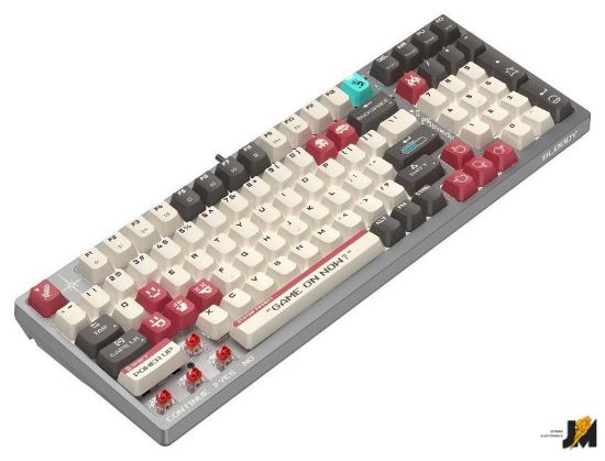 https://cdn.dataimgstore.com/s/3130026/76/10217041/Tv8FDNLDjN.jpg
