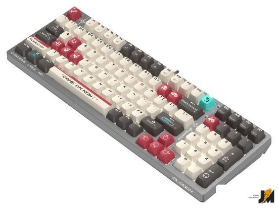 https://cdn.dataimgstore.com/s/3130026/76/10217041/oIvLdQJpba.jpg
