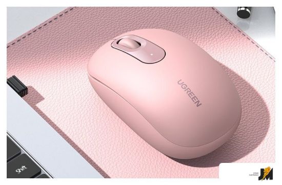 https://cdn.dataimgstore.com/s/3130026/73/8795332/tfBiIoWMtP.jpg