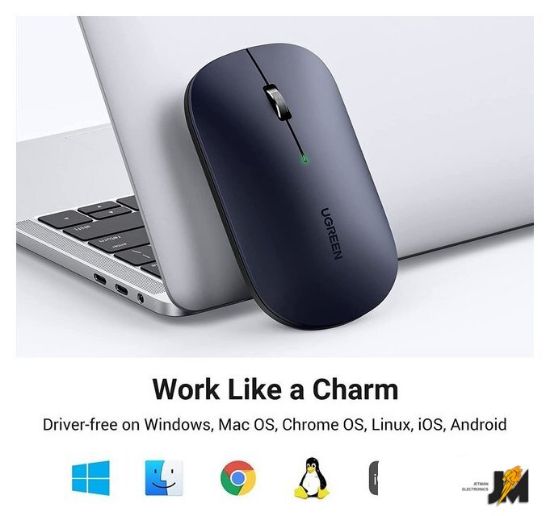 https://cdn.dataimgstore.com/s/3130026/73/8305904/GmsgHObjlY.jpg