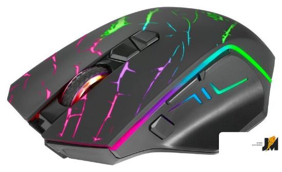 https://cdn.dataimgstore.com/s/3130026/73/8249201/dKBFqhooIk.jpg