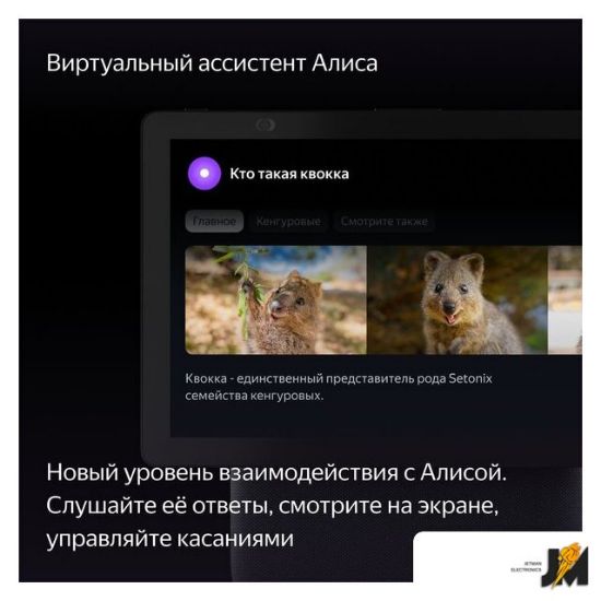 https://ext.dataimgstore.com/content/5/images/3130026/1/89/28/9302889/HogkstdOZL.jpg