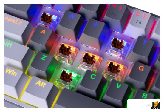 https://ext.dataimgstore.com/content/5/images/3130026/1/19/38/7313819/XudD3I4NM3.png