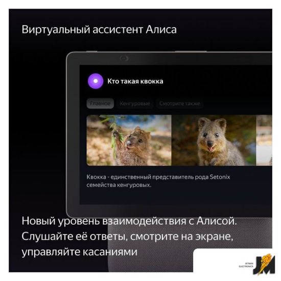 https://ext.dataimgstore.com/content/5/images/3130026/1/92/28/9302892/AszAdzsjPB.jpg