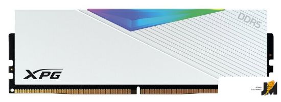 https://ext.dataimgstore.com/content/5/images/3130026/1/76/90/8849076/RFthnprHj8.jpg