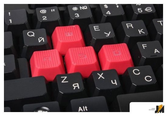 https://ext.dataimgstore.com/content/5/images/3130026/1/27/63/16327/RrlOae4PRz.jpg